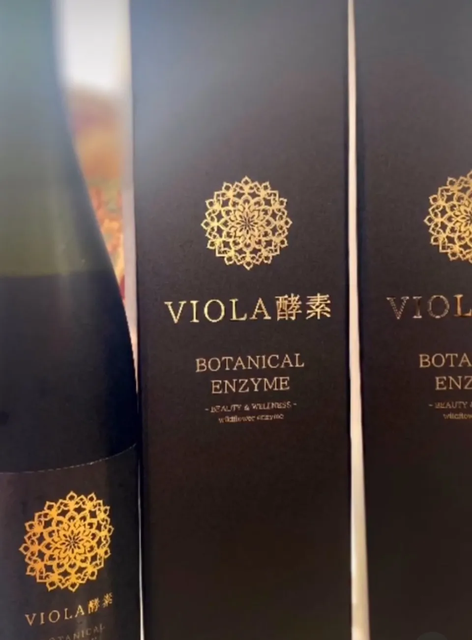 🌿ファスティングの効果と「VIOLA酵素」での新習慣🌿