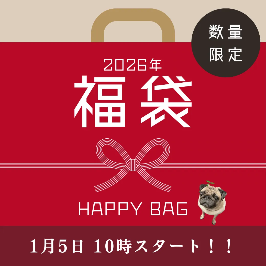 新年のはじまりに、ちょっと嬉しいお知らせです