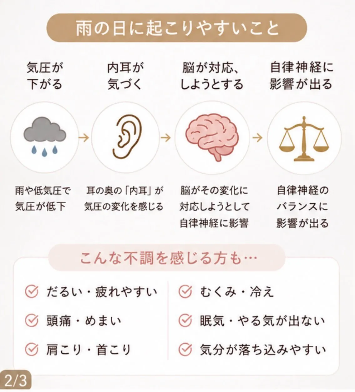 【雨の日は自律神経が乱れやすい?☔️】